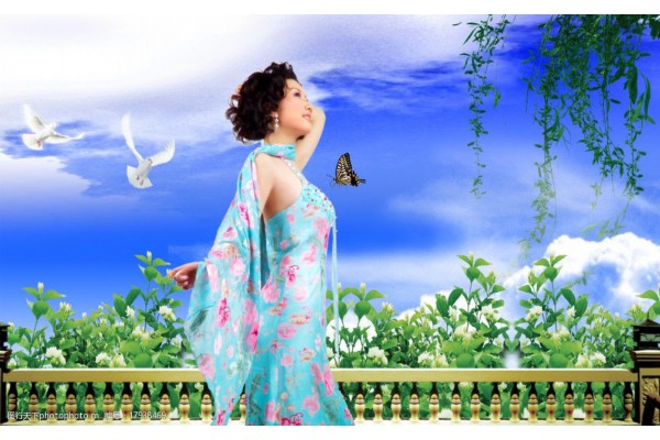 鹦鹉洲畔品茗趣，武汉茶韵醉时光